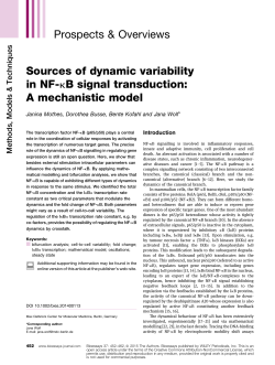 Sources of dynamic variability in NF‐&kappa;B signal transduction: A