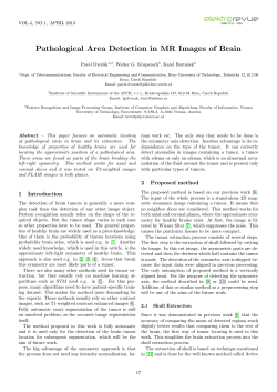 Pathological Area Detection in MR Images of Brain