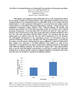 The Effect of Constant Darkness on Chlorophyll Concentration in