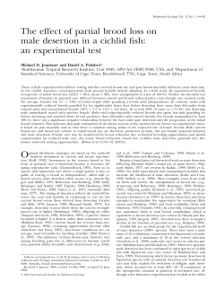 effect of partial brood loss on male desertion in a cichlid fish: an