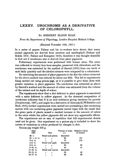 LXXXV. UROCHROME AS A DERIVATIVE OF CHLOROPHYLL.