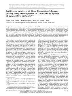 Profile and Analysis of Gene Expression