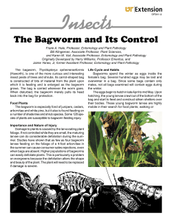 Insects The Bagworm and Its Control