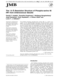 as a PDF