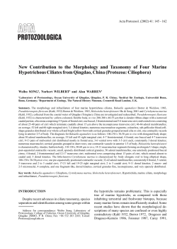 New Contribution to the Morphology and Taxonomy of Four Marine