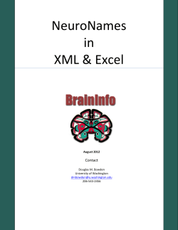 Manual for NeuroNames Nomenclature - BrainInfo