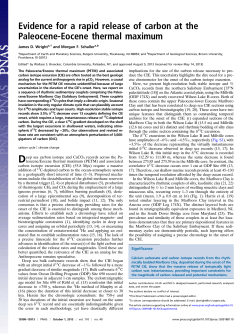 Evidence for a rapid release of carbon at the Paleocene