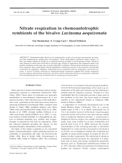 Nitrate respiration in chemoautotrophic symbionts of the bivalve