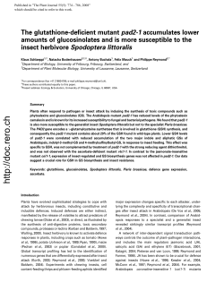 The glutathione-deficient mutant pad2-1 accumulates