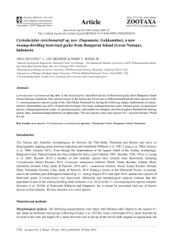 Cyrtodactylus rosichonariefi sp. nov.