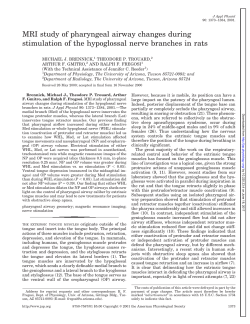 MRI study of pharyngeal airway changes during stimulation of the