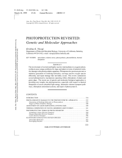 as a PDF
