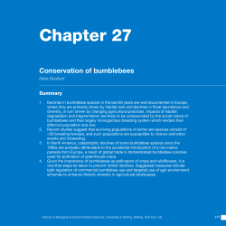 33 Chapter 27 - University of Stirling