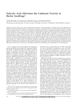 Salicylic Acid Alleviates the Cadmium Toxicity in