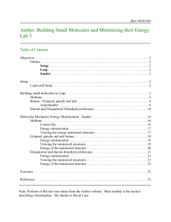 Amber: Building Small Molecules and Minimizing their