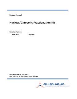 Nuclear/Cytosolic Fractionation Kit