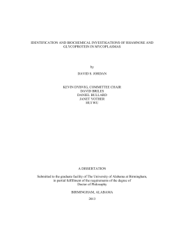 Identification And Biochemical Investigations Of Rhamnose