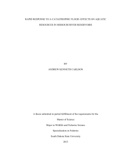 RAPID RESPONSE TO A CATASTROPHIC FLOOD: EFFECTS ON