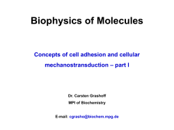 Biophysics of Molecules