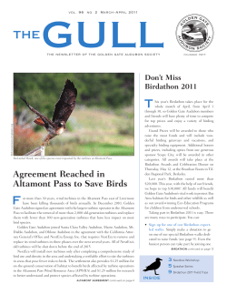 Agreement Reached in Altamont Pass to Save Birds