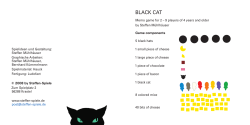 Schwarzer Kater Anl. d_eng.indd