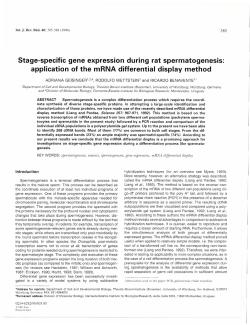 Stage-specific gene expression during rat spermatogenesis