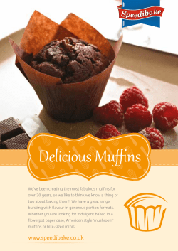 Muffin Insert_amended