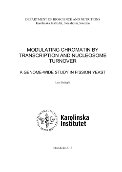 Thesis - KI Open Archive