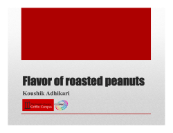 Flavor of roasted peanuts