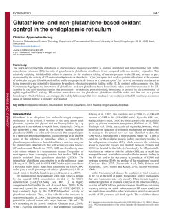 Glutathione- and non-glutathione-based oxidant control in the