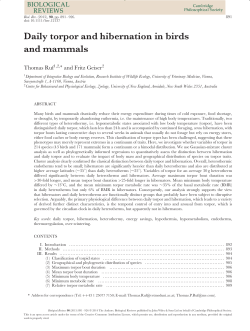 Daily torpor and hibernation in birds and mammals