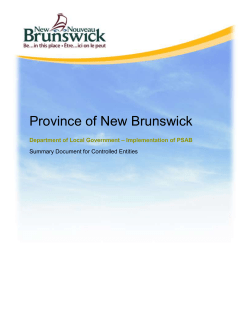 Summary Document for Controlled Entities