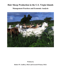 Hair Sheep Production - University of the Virgin Islands