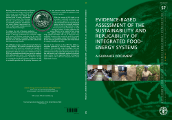 evidence-based assessment of the sustainability and replicability of