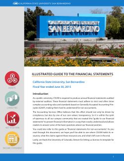 illustrated guide to the financial statements