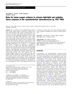 Roles for heme&ndash;copper oxidases in extreme high