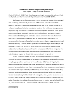 Nudibranch Defense Using Stolen Hydroid Polyps