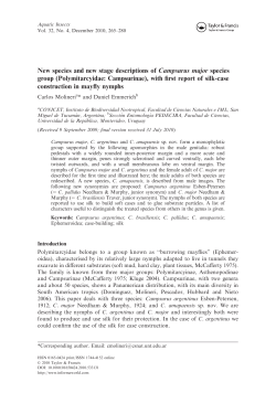 New species and new stage descriptions of Campsurus major