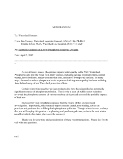 Scientific Guidance on Lower-Phosphorus Roadway De