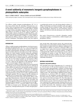 A novel subfamily of monomeric inorganic pyrophosphatases in