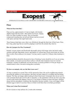 - Exopest