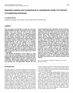Symmetry systems and compartments in