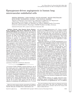 Print - American Journal of Physiology