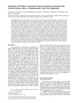 Evaluation of Whether Accelerated Protein Evolution in Chordates