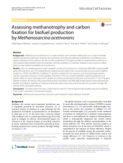 Assessing methanotrophy and carbon fixation for