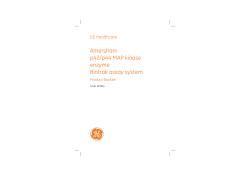Amersham p42/p44 MAP kinase enzyme Biotrak assay system
