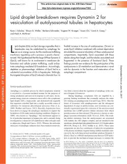 Lipid droplet breakdown requires Dynamin 2 for vesiculation of