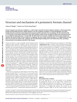 Structure and mechanism of a pentameric formate channel