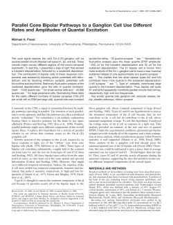 Parallel Cone Bipolar Pathways to a Ganglion Cell Use Different