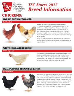 Breed Information
